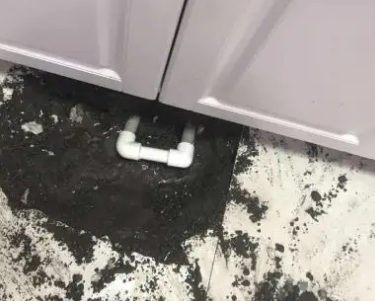 定海查漏水哪家好