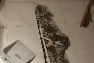 定海卫生间漏水检测电话